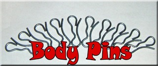 Body Pins