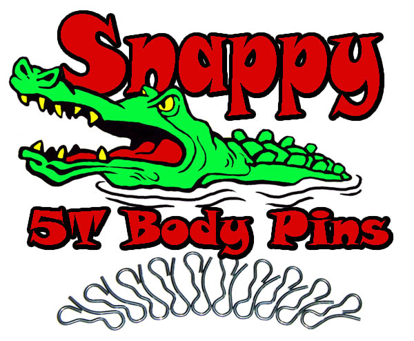 Body Pins